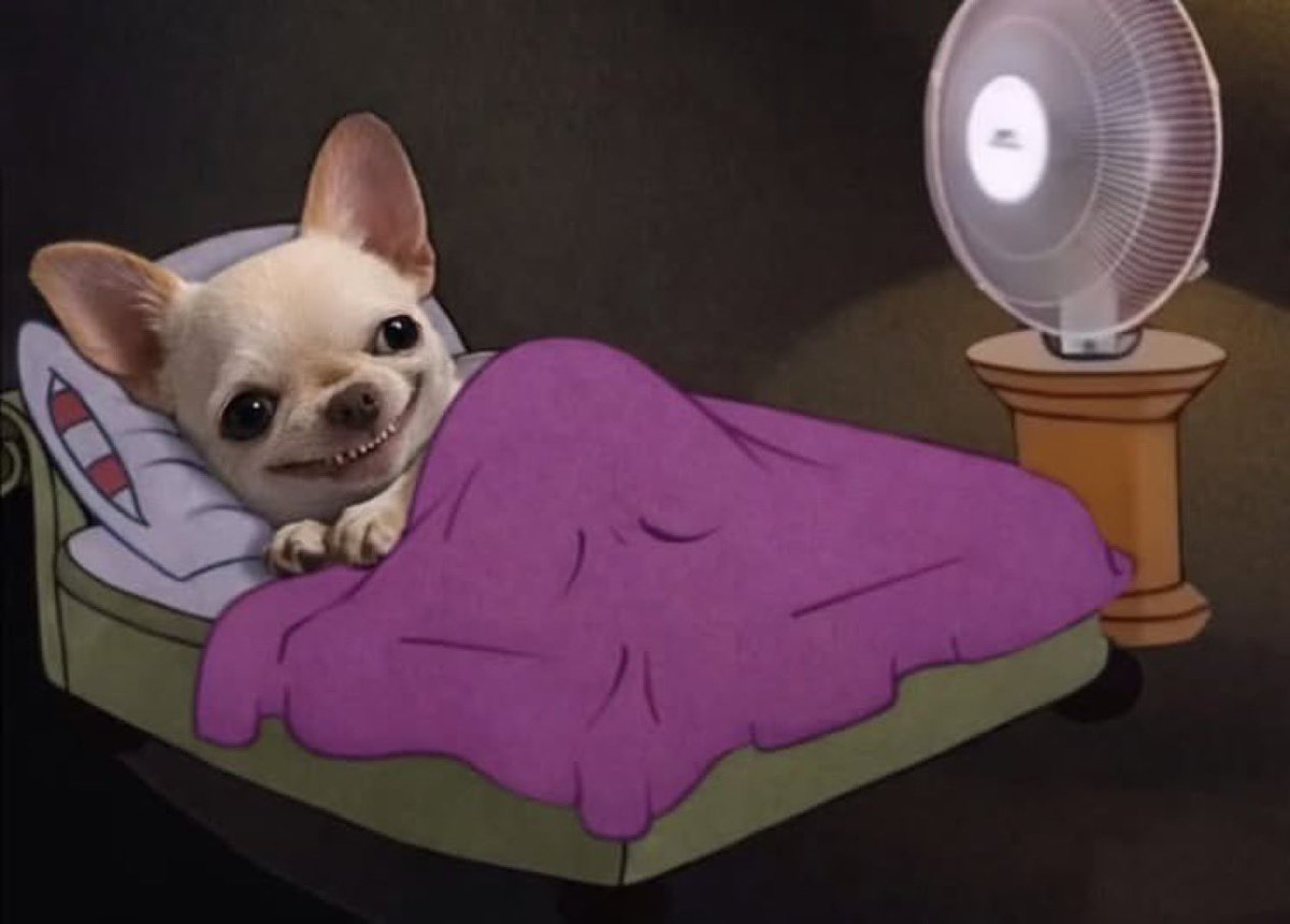 𝘯𝘢𝘥𝘪. tweet media