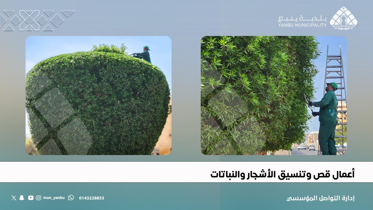 بلدية محافظة ينبع tweet media