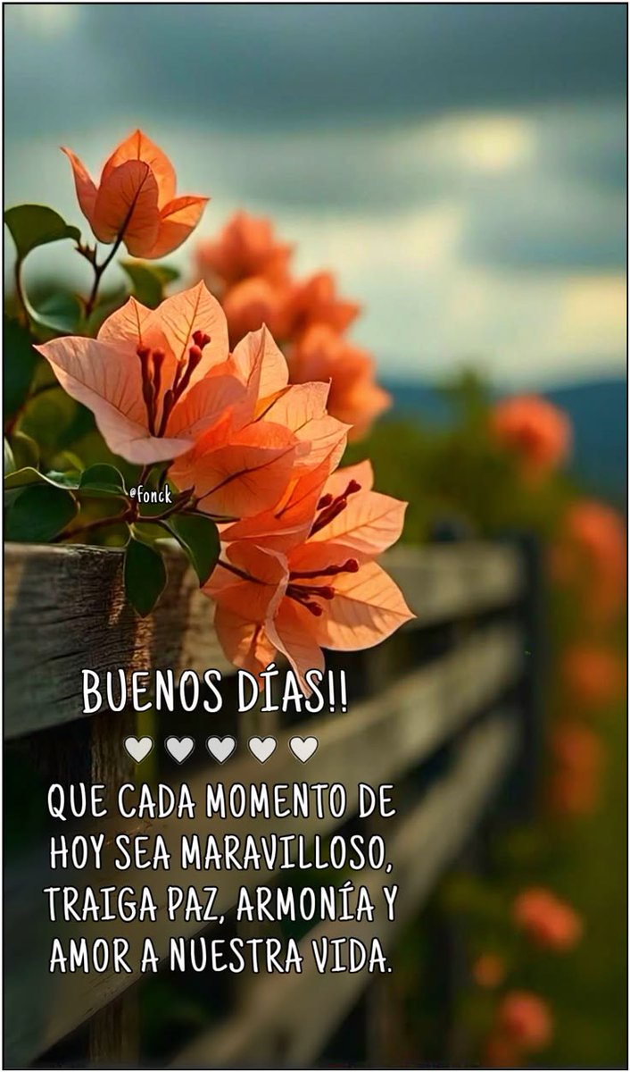 Todavía no tengo claro si el alma es la morada del corazón o si es el corazón el que alberga al alma 
Pero una cosa es segura: quien tiene un gran corazón, siempre tiene un alma maravillosa ✨#buenosdias
#frasesinspiradoras
#flores
