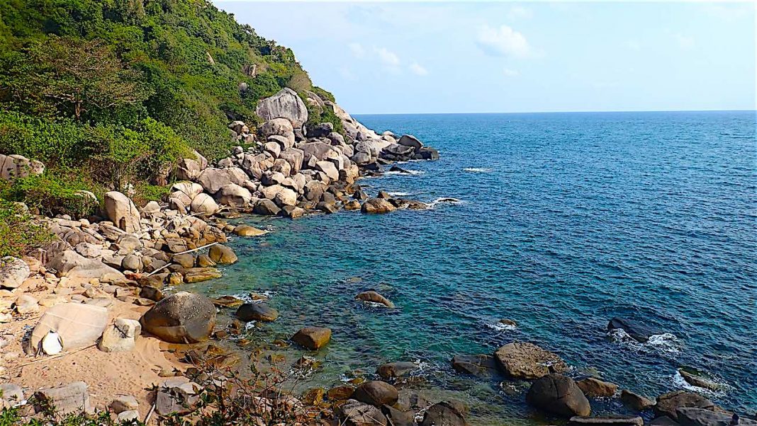 The Funky Turtle® tweet media