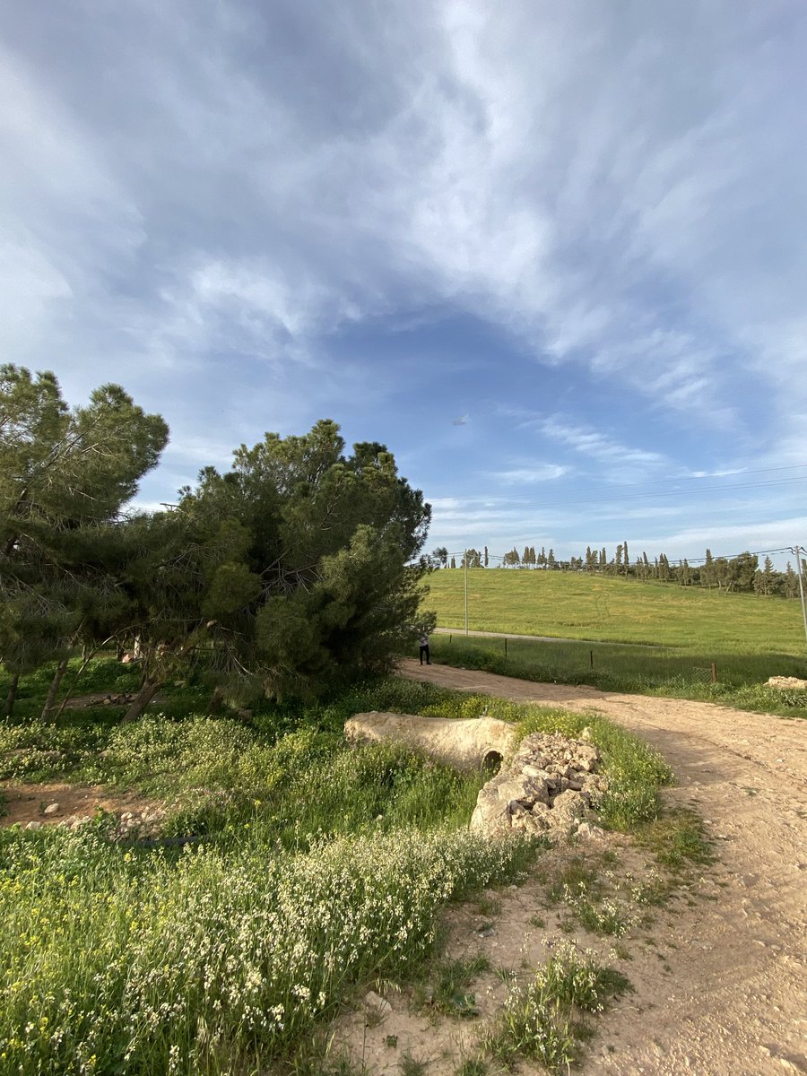 salma🇯🇴 tweet media