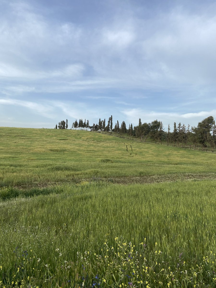 salma🇯🇴 tweet media