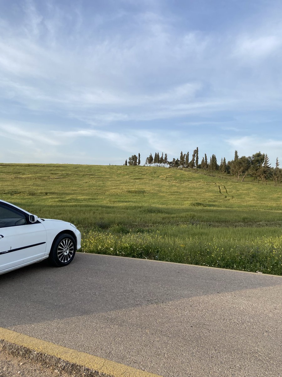 salma🇯🇴 tweet media