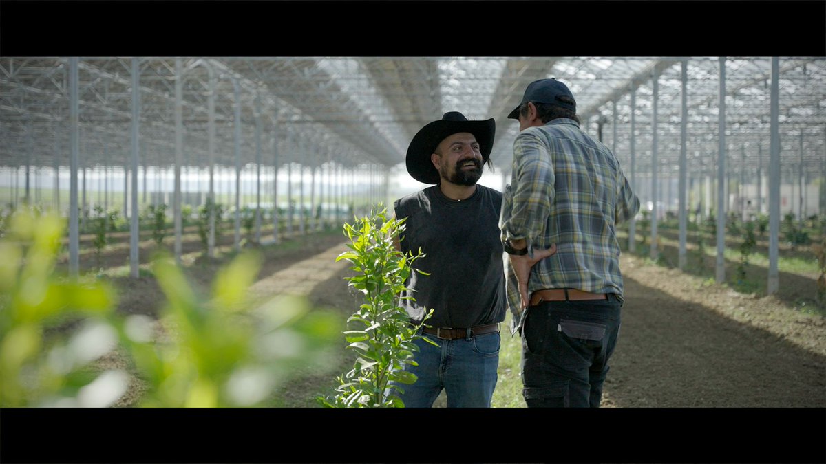 Dr. Serge Zaka (Dr. Zarge) tweet media