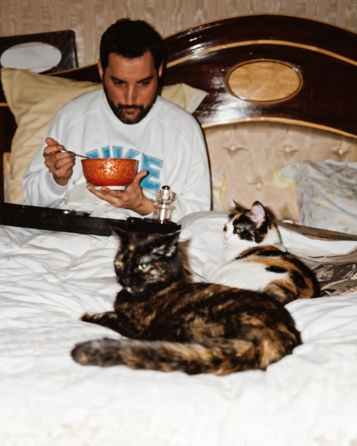 aqueenofmagic's tweet image. Freddie Mercury en la cama con sus gatos 🐈🐈‍🍜

#FreddieMercury #Queen