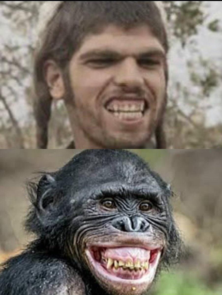 Rami Mahroos tweet media