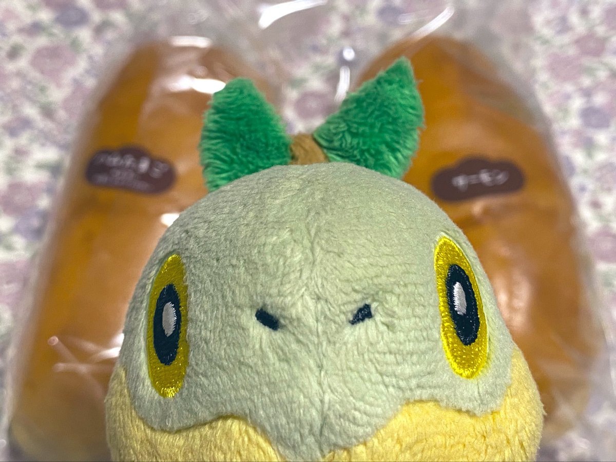 ちっちゃいナエトル tweet media