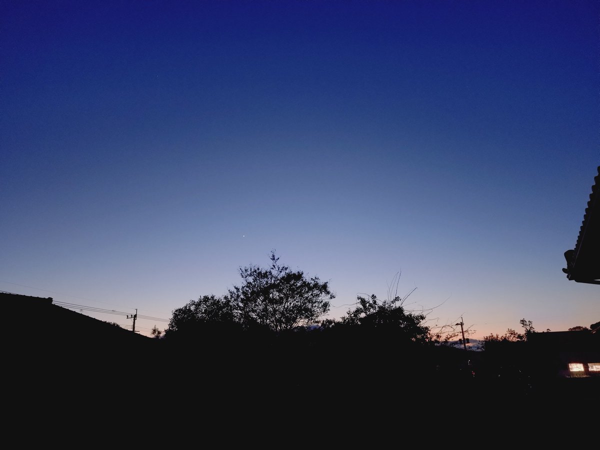 ヨパンクライプ tweet media