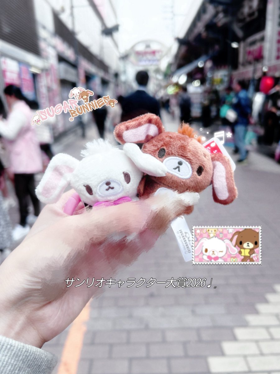2kmhp's tweet photo. シュガバニを応援꒰ᐢ. ̫ .ᐢ꒰ᐢ. ̫ .ᐢ꒱🎀
 #サンリオキャラクター大賞2026 https://t.co/7oYIALOVDf