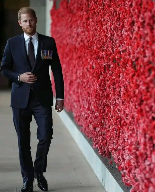 Kay Ross-Levy 🌺 tweet media