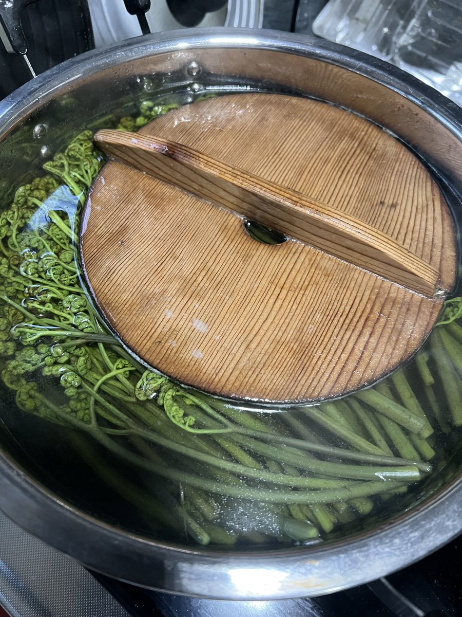 River song tweet media