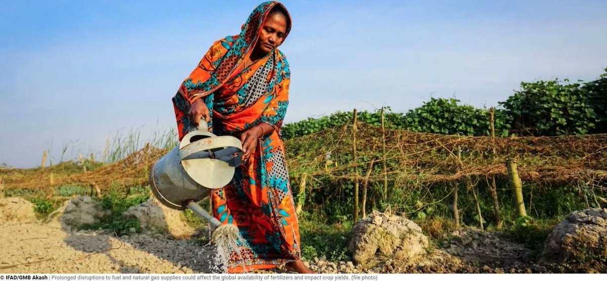 greenreport.it tweet media