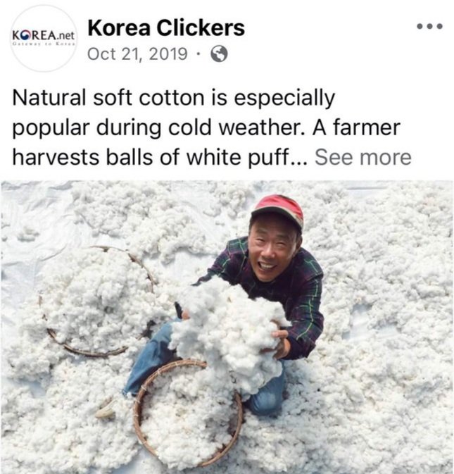 Hazel Rah tweet media