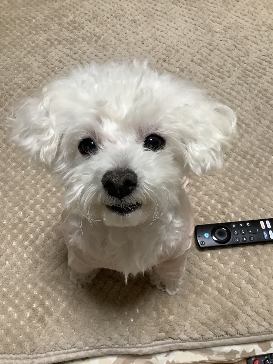 ももやん tweet media