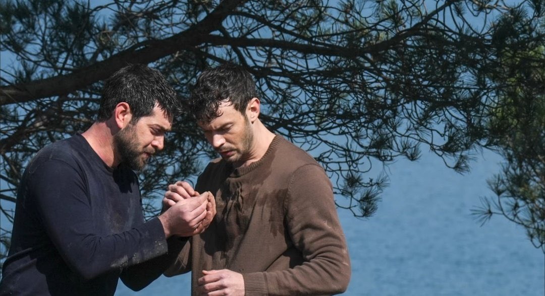 Midnight tweet media