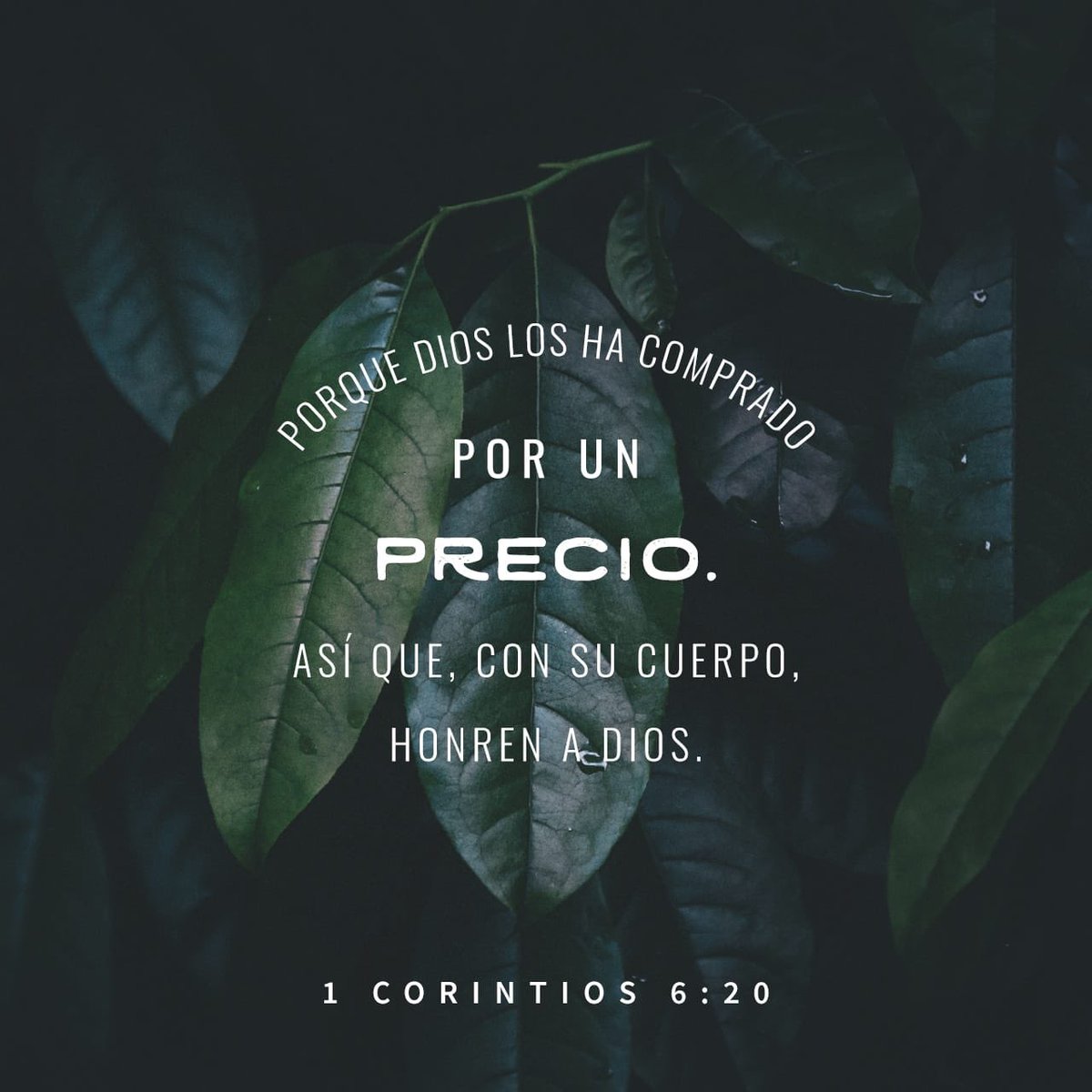 “pues habéis sido comprados por precio; glorificad, pues, a Dios en vuestro cuerpo y en vuestro espíritu, los cuales son de Dios.”
1 Corintios 6:20 RVR95
bible.com/bible/150/1co.…