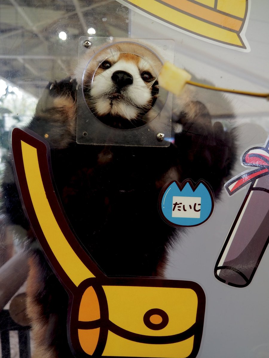 ⁿᵃᵍᵃᵒ tweet media