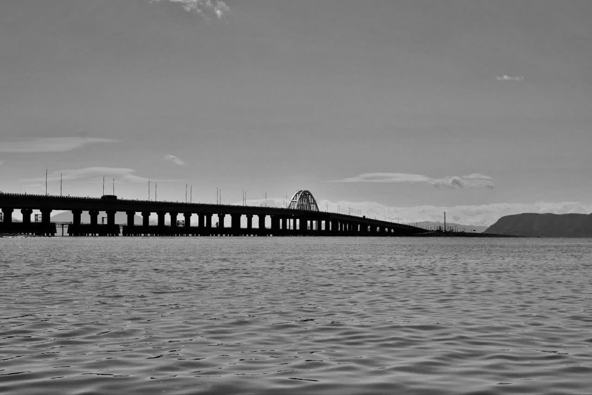 Amirhossein Miresmaeili tweet media