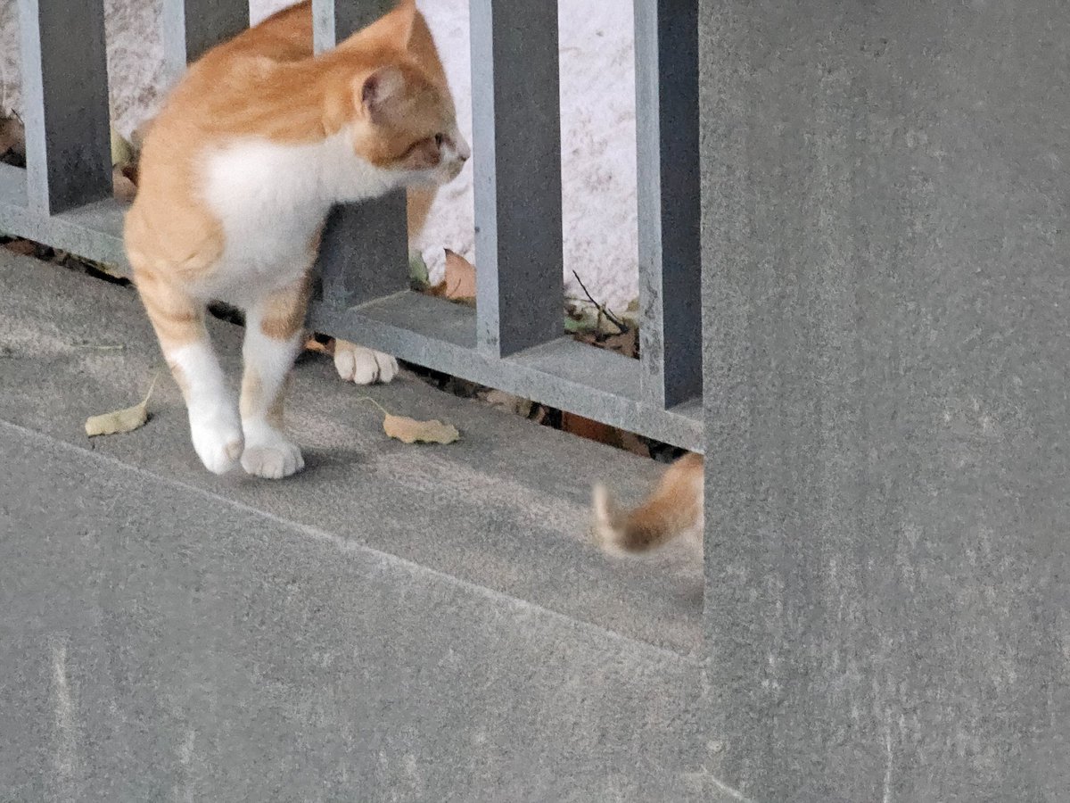 Jaden思考日志 tweet media