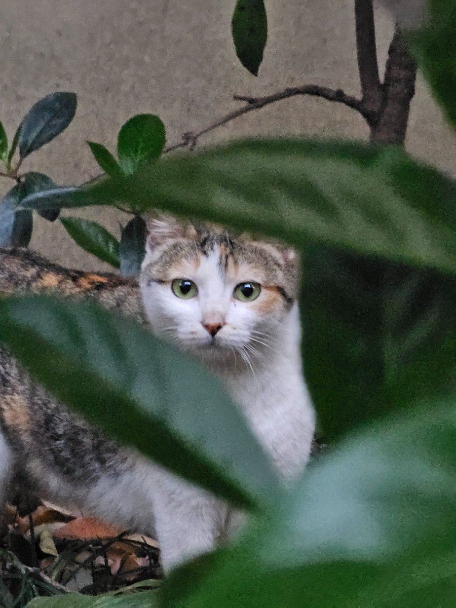 Jaden思考日志 tweet media