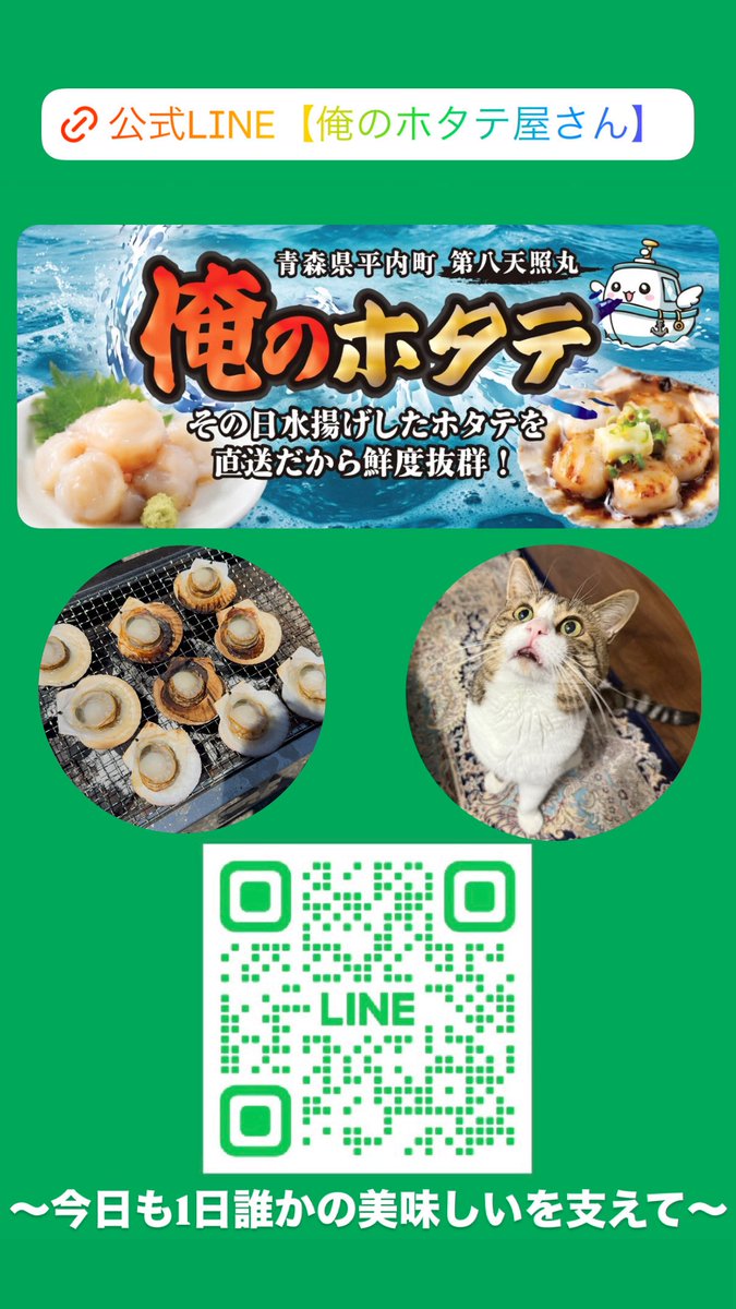 俺のホタテ代表 達也 tweet media