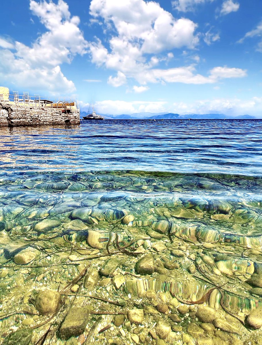 AllAboutTheButterfly Ƹ̵̡Ӝ̵̨̄Ʒ~ Y. tweet media