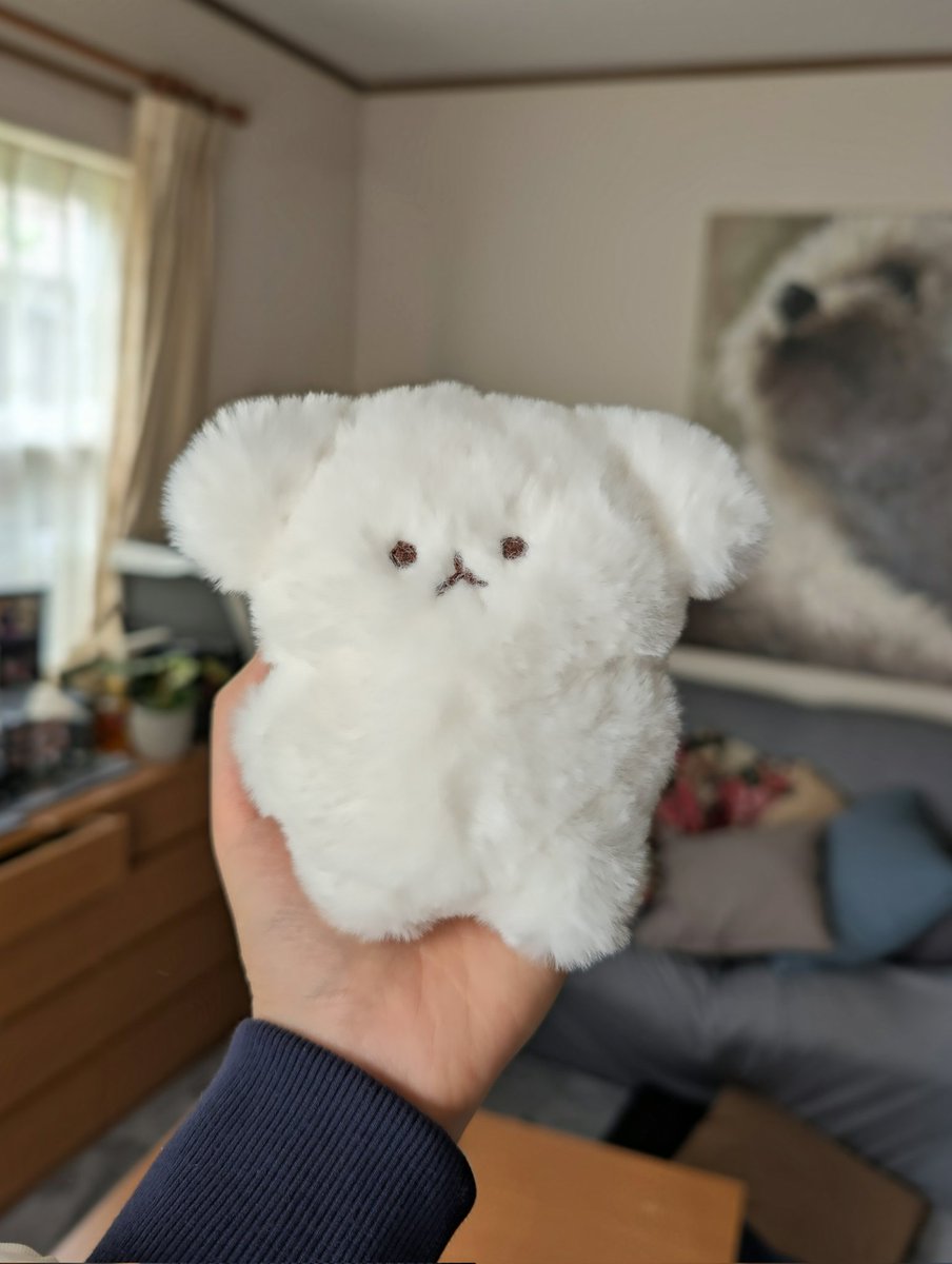 ﾂﾑｷﾞ tweet media