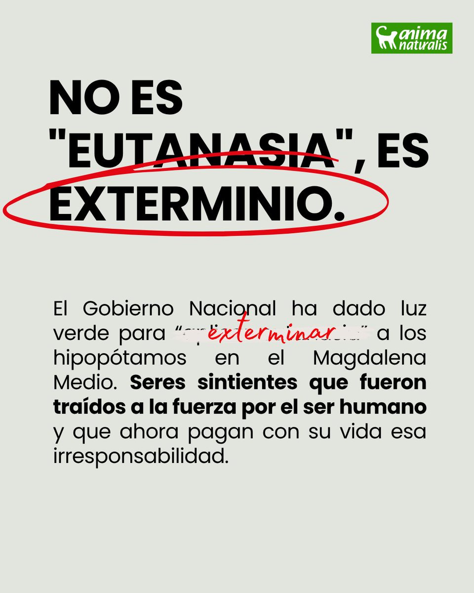 AnimaNaturalis tweet media