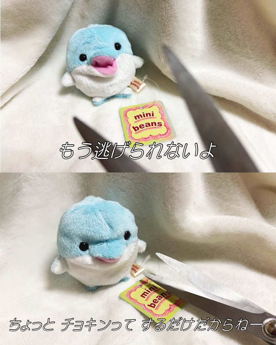 ぬいのタグってぬいのへその緒みたいで中々切れない