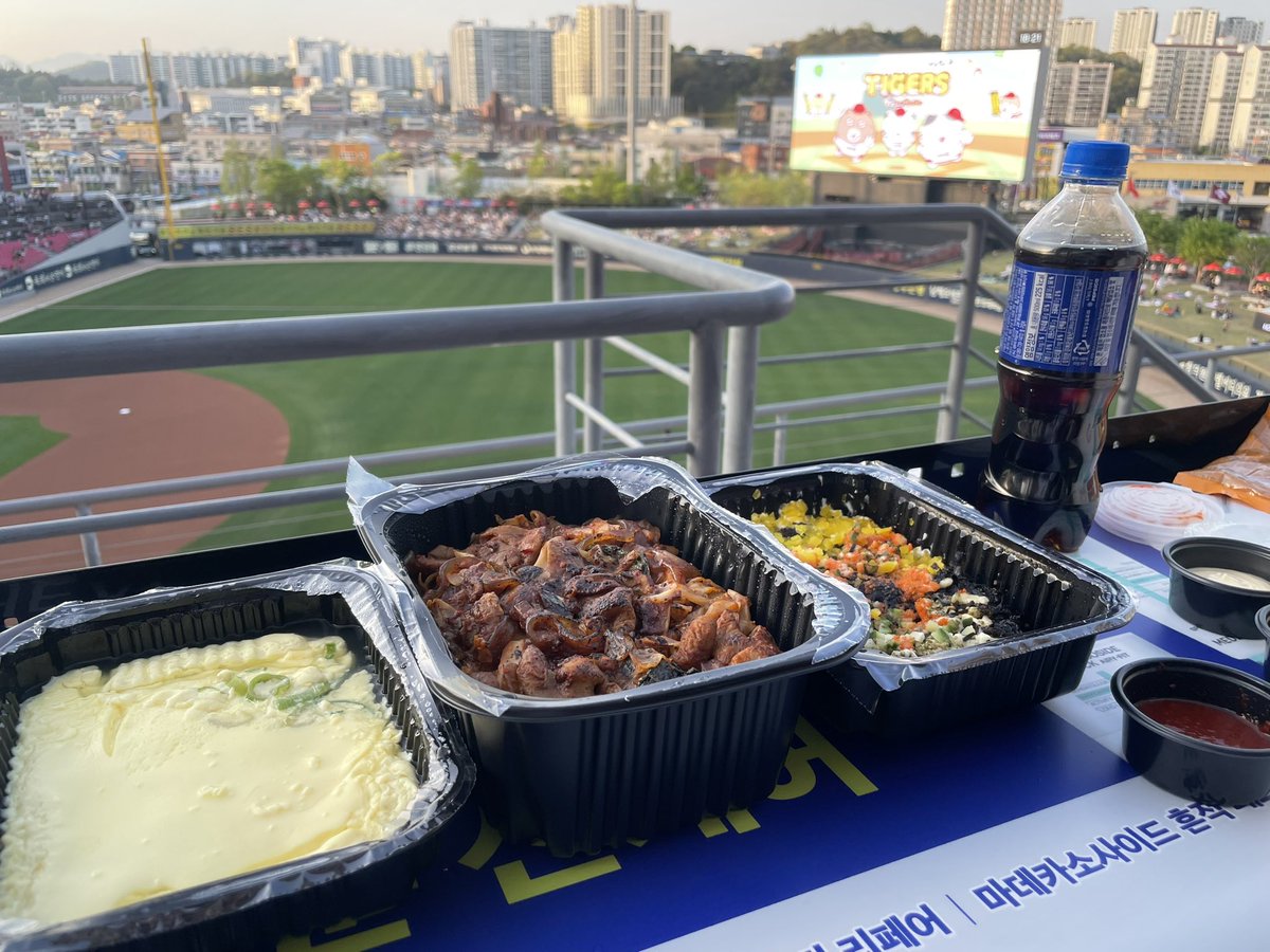 イルカ🐬🌊 tweet media