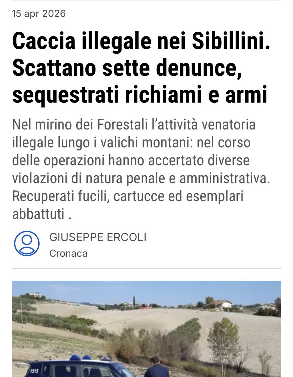 Gianluca Felicetti tweet media