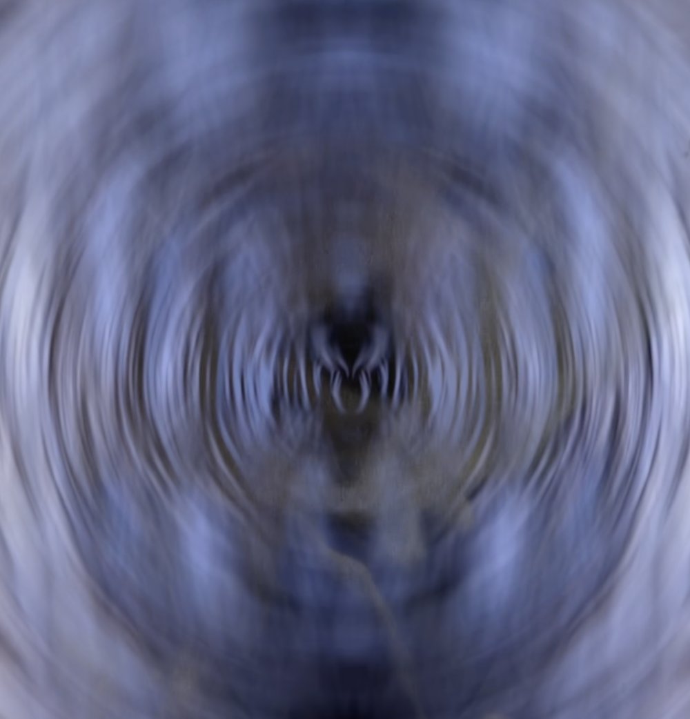 Dave Cotr tweet media