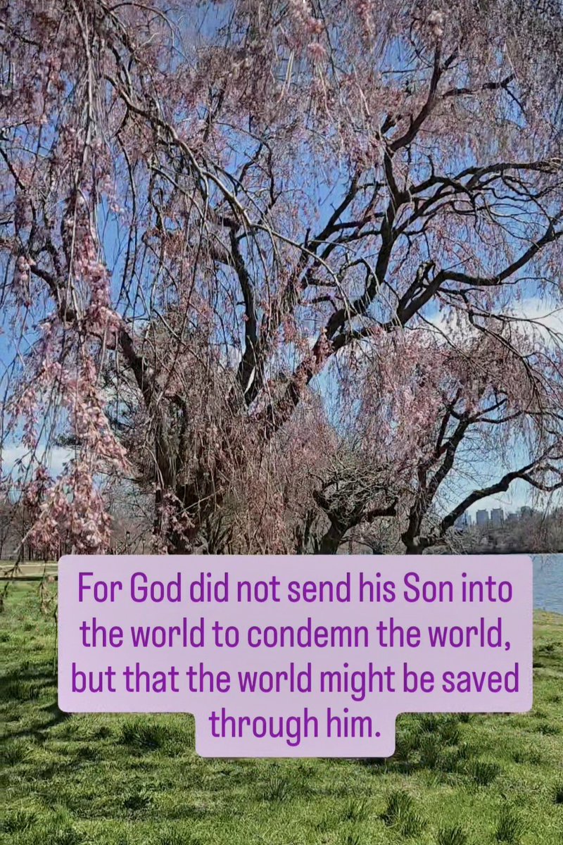 ccjourney's tweet photo. For God did not send his Son into the world to condemn the world,
but that the world might be saved through him.
Gospel John 3:16-21 https://t.co/VGA1ZTIS4Q
