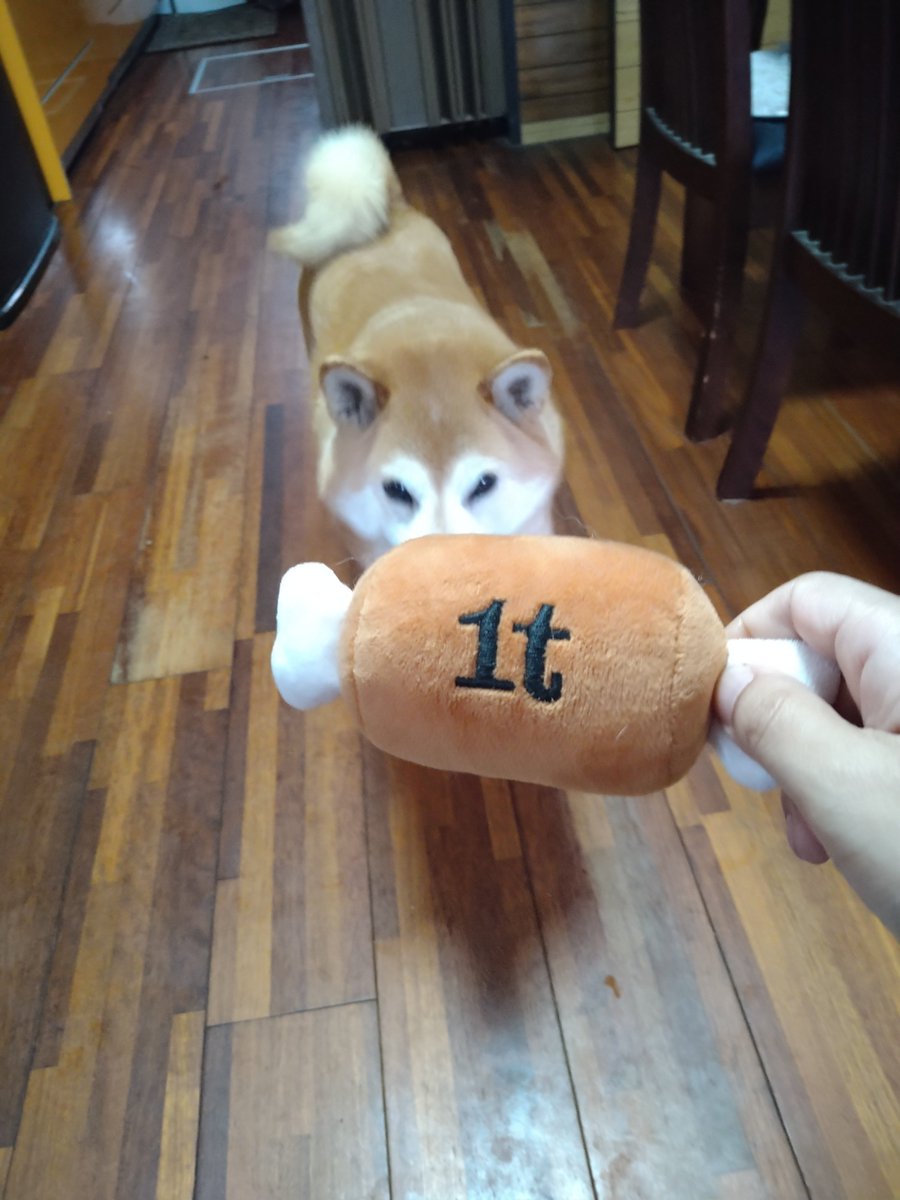 朝市ラムウ tweet media