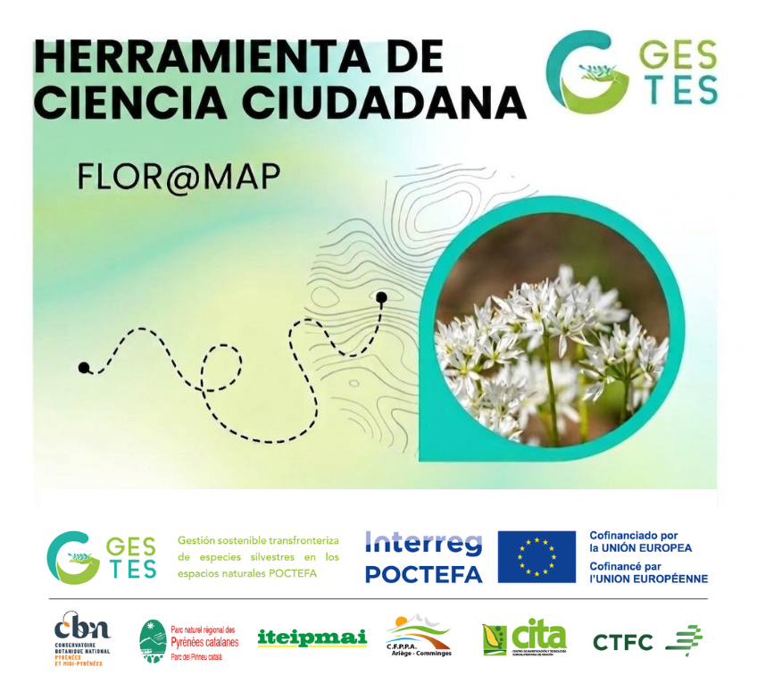 CITA Aragón tweet media