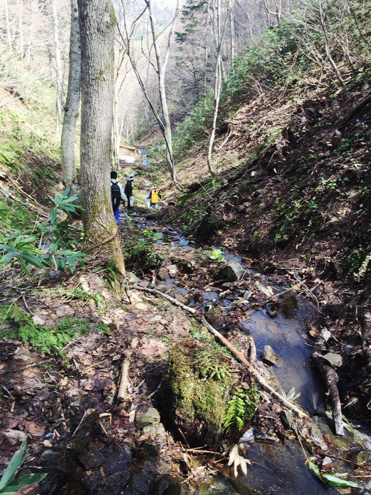 - Guro - tweet media