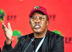 thulanimofoken3's tweet photo. To a certain extent, they are the same. They are stand on their views and their followers are stubborn! They are accused of being racist.

#HandsoffCIC Julius Malema Afriforum #MadlangaCommission https://t.co/1o2YirqNuF