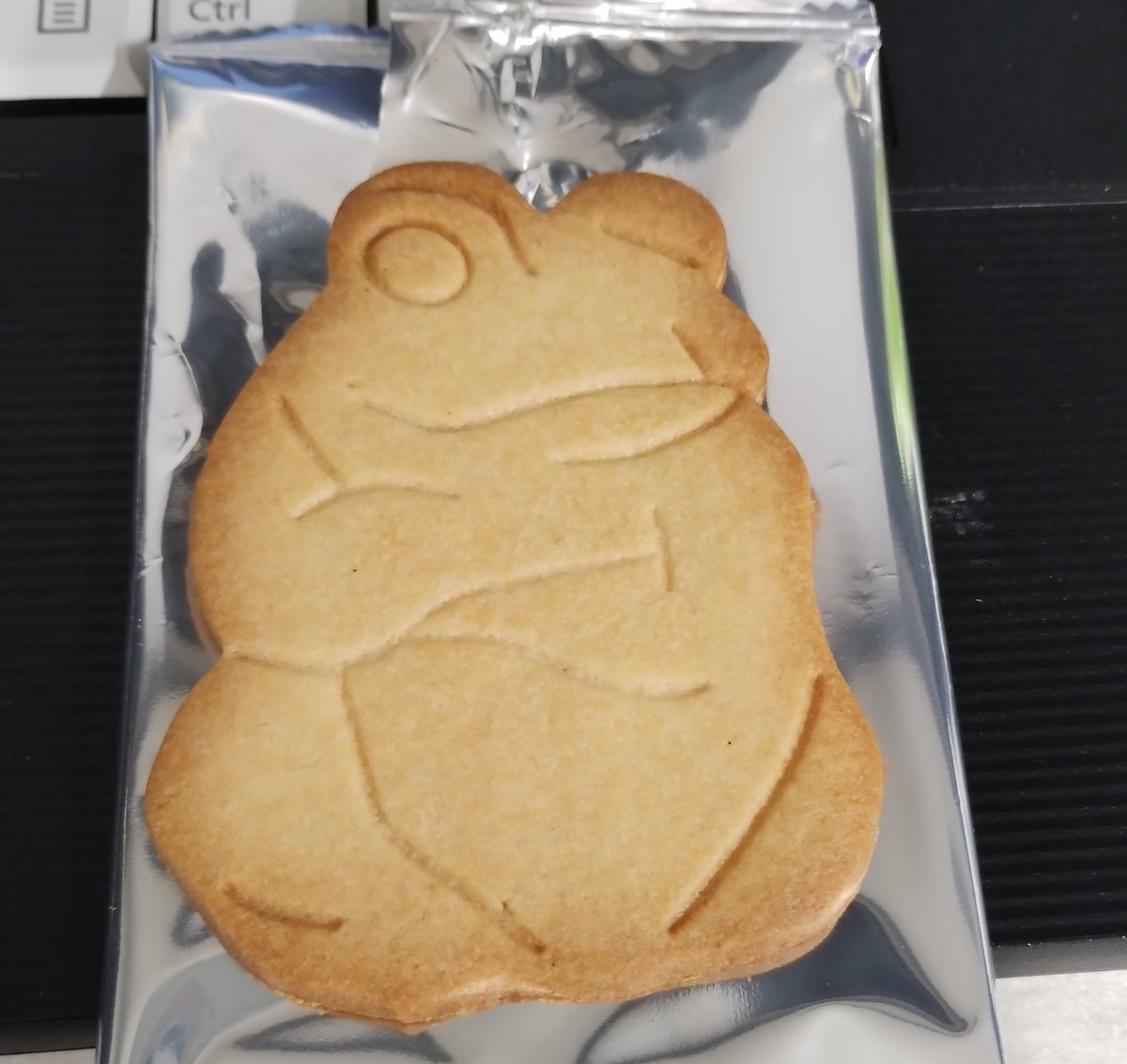 いただきものクッキー
なにこれ可愛い