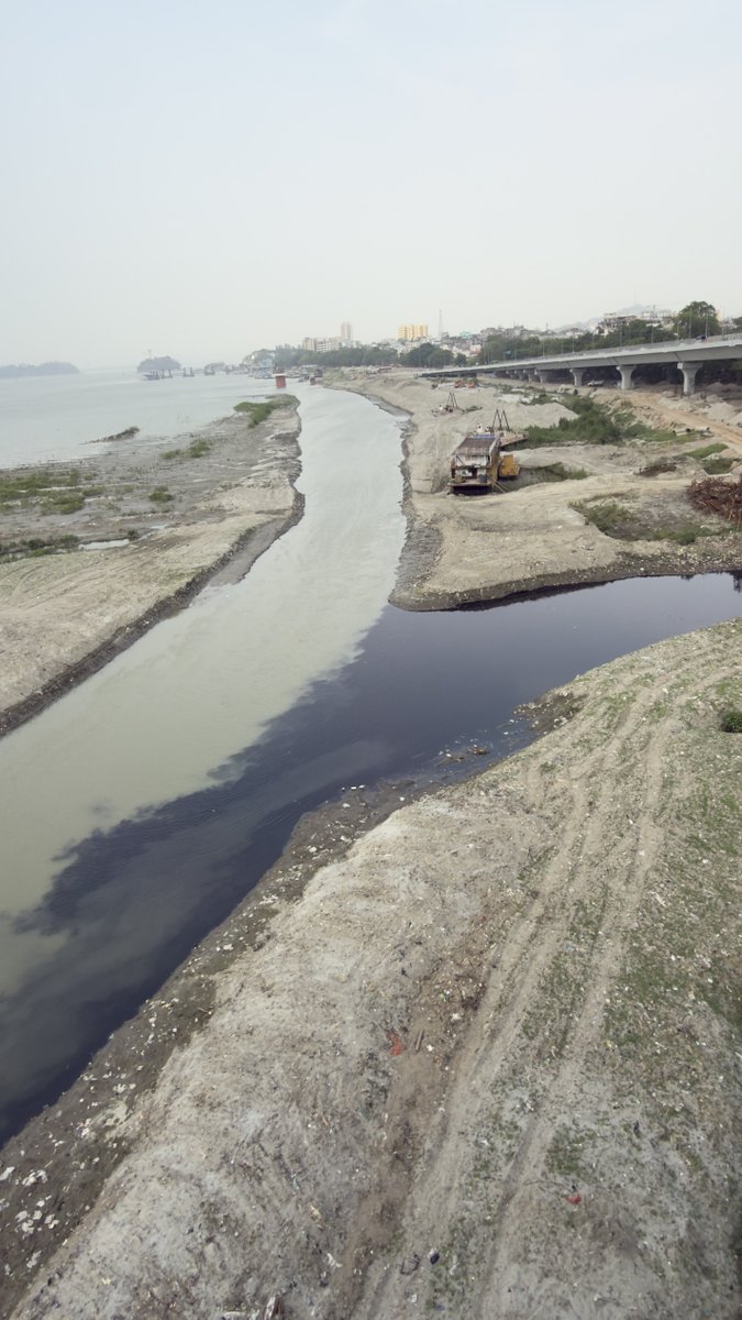 When Bharalu meets Brahmaputra