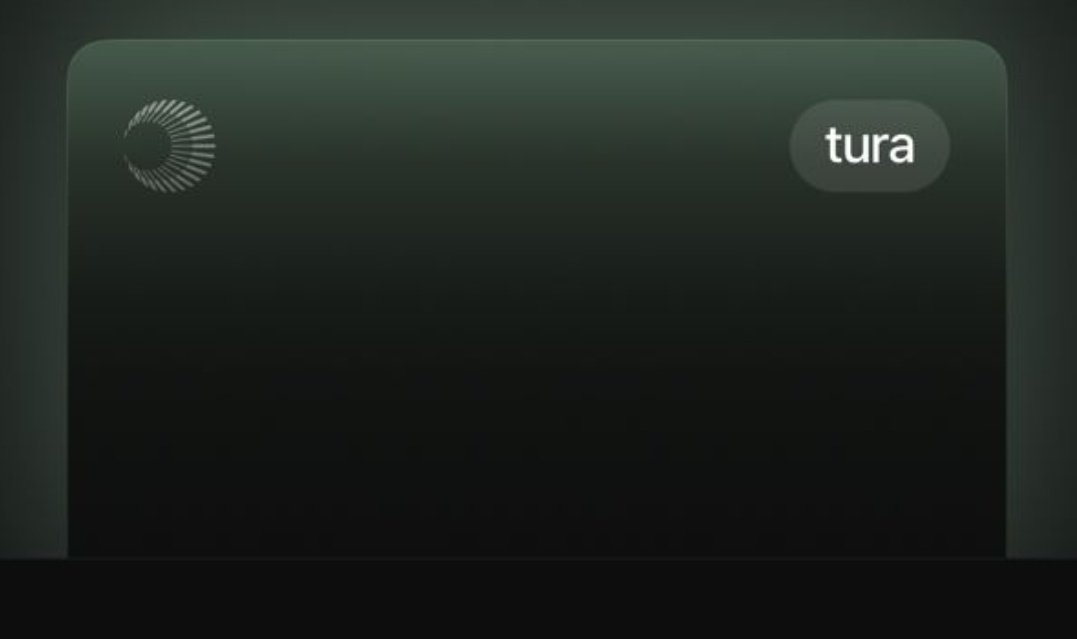 0xTura tweet media