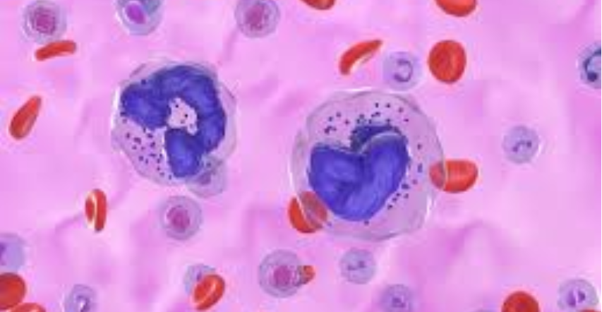kklttrust's tweet photo. A global study of individuals living with leukaemia has revealed significant gaps in patient understanding of the condition, highlighting that awareness of infection risks and disease monitoring is closely associated with overall quality of life.
https://t.co/Y7j2Fj6eHX https://t.co/3C5H6yUJfL