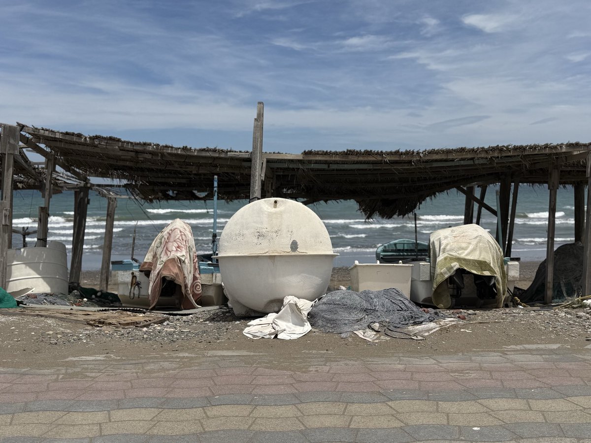 طلال العامري tweet media