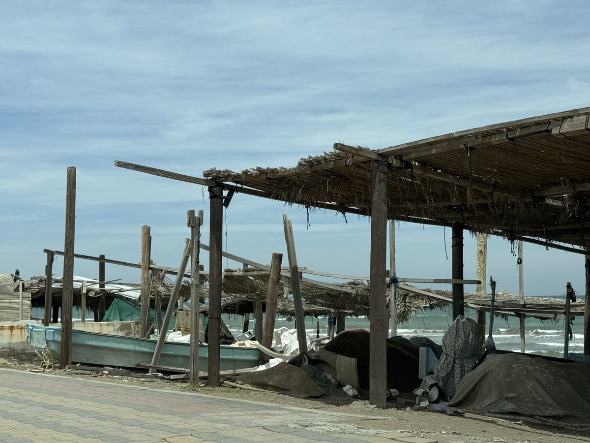 طلال العامري tweet media