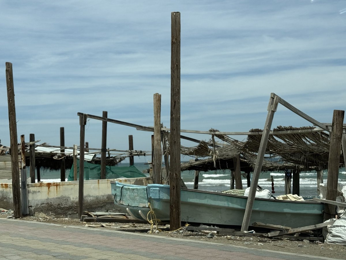 طلال العامري tweet media