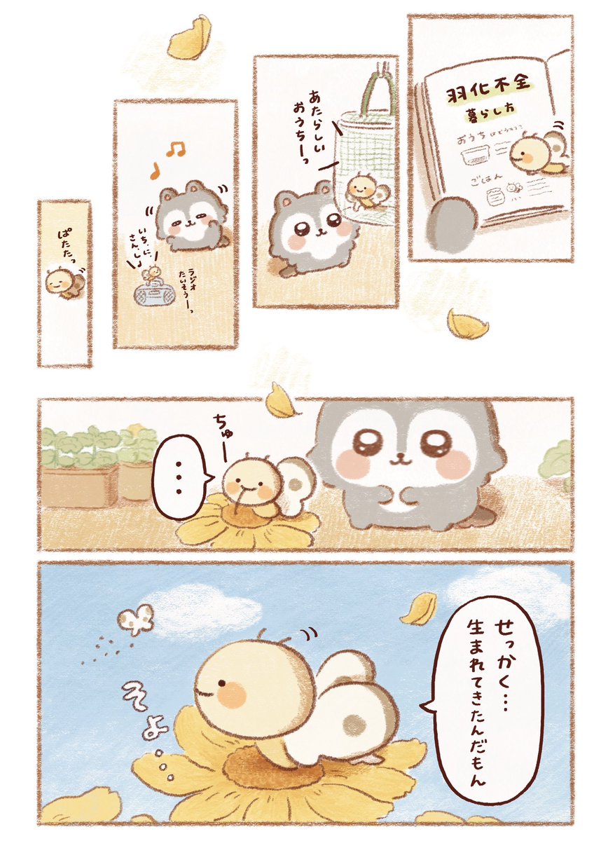 こまどひな tweet media