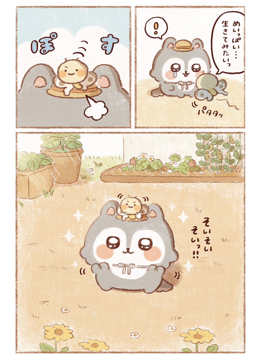 こまどひな tweet media