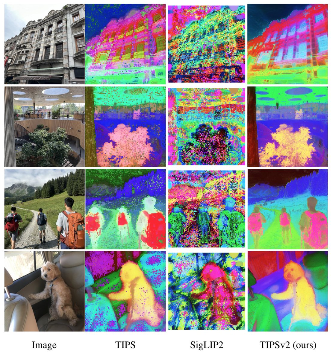 André Araujo tweet media