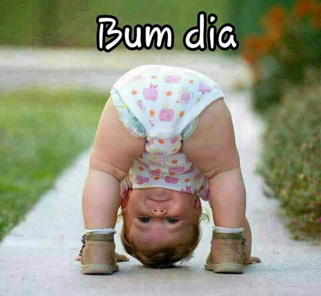 elianad23755930's tweet image. Quarta abençoada a todos X 🇧🇷 💙 💚 💛 🤍 🥰 Deus abençoe nosso dia #gratidão bora bora hoje o modo turbo ja ficou ligado 🤭trabalhar que o bicho pega la fora aqui é sombra e água fresca 🤭aqui é so fantasia a vida real ta logo ali🙌🥰☕️☕️