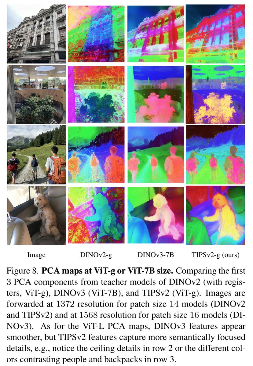 André Araujo tweet media