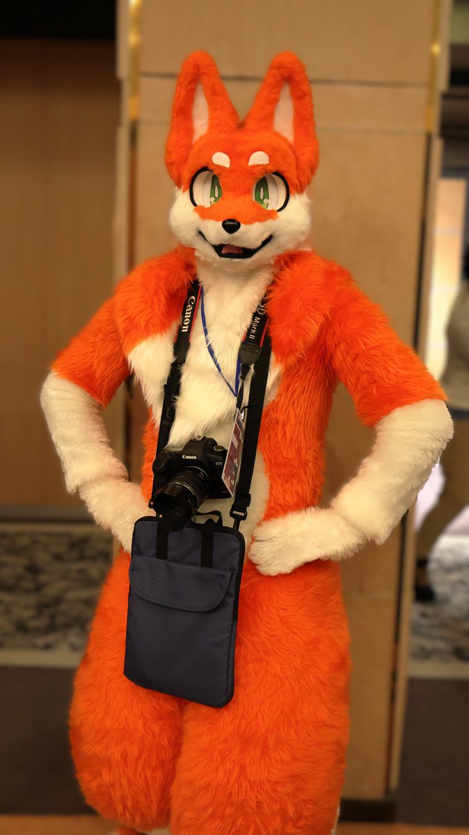 10gurt(とーぐると) tweet media